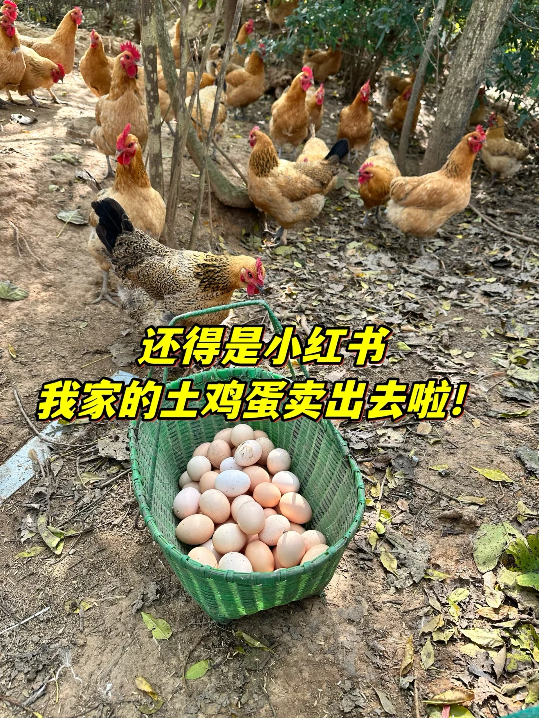 С鰡ҼũƷ