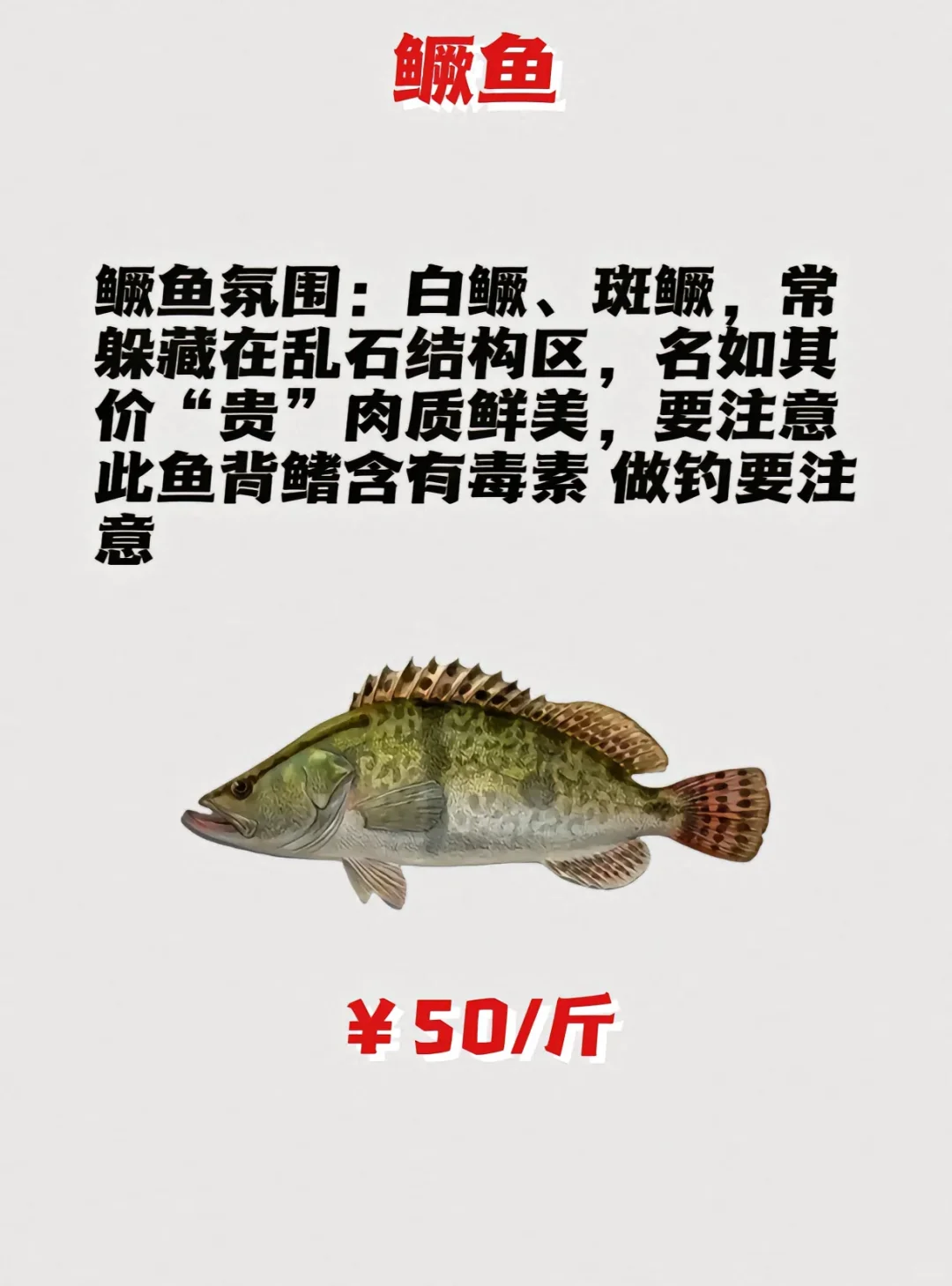 路亚鱼种价格排名，菜市场买得讲价！