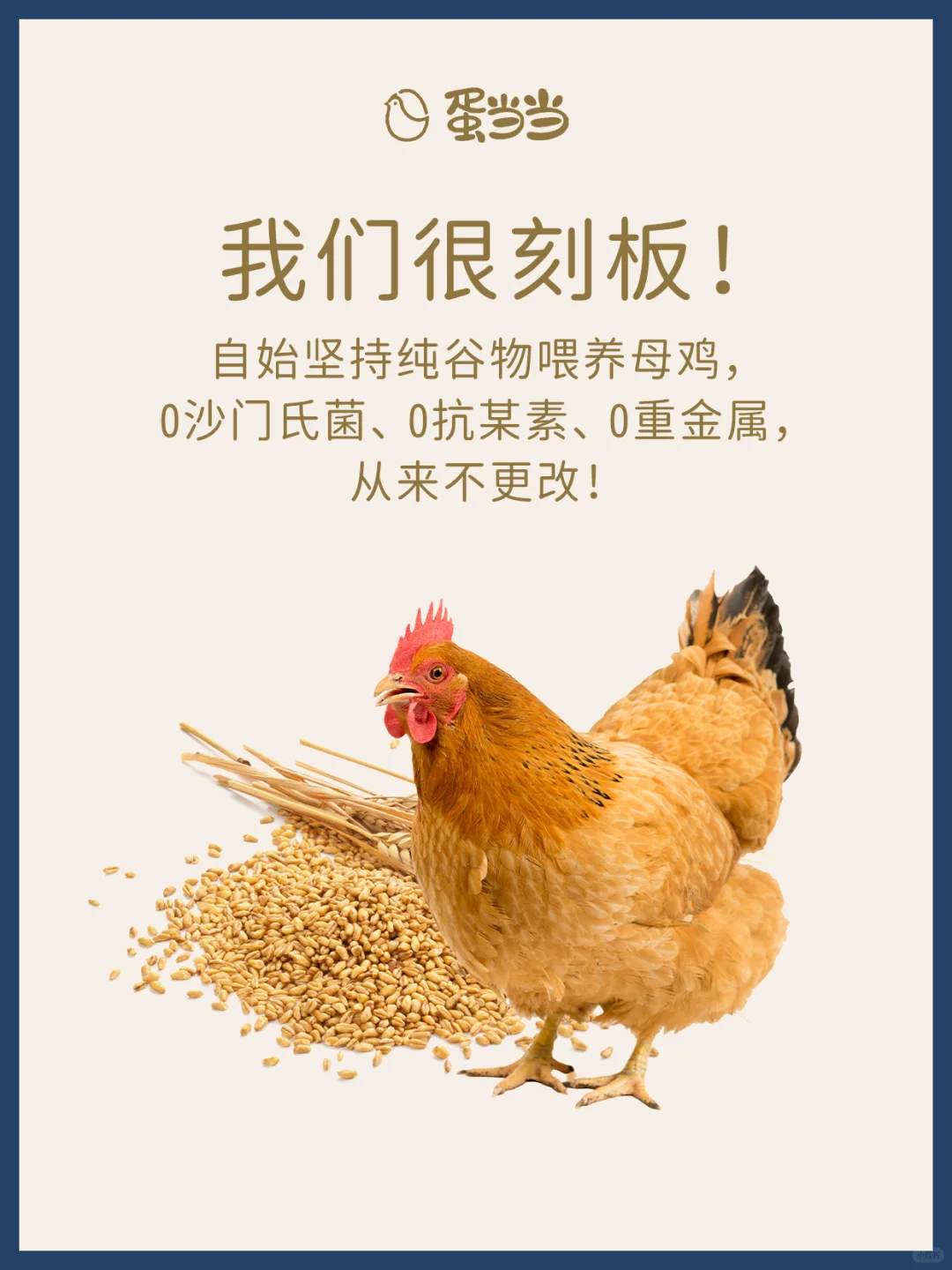 حʳʽפС