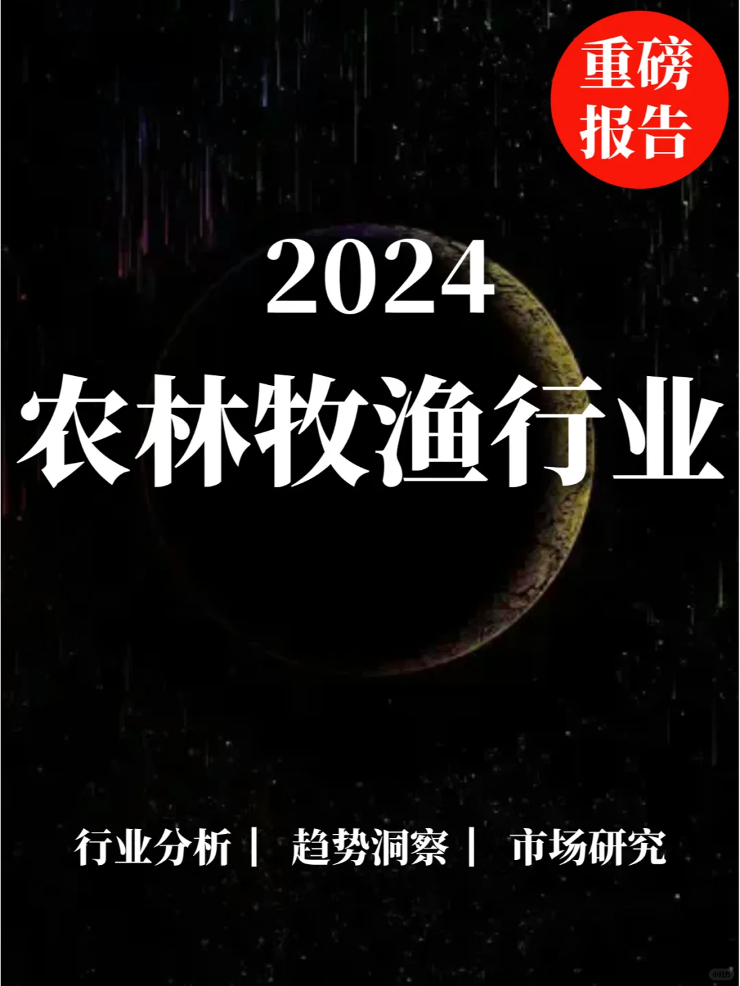 ذ|2024ũҵ