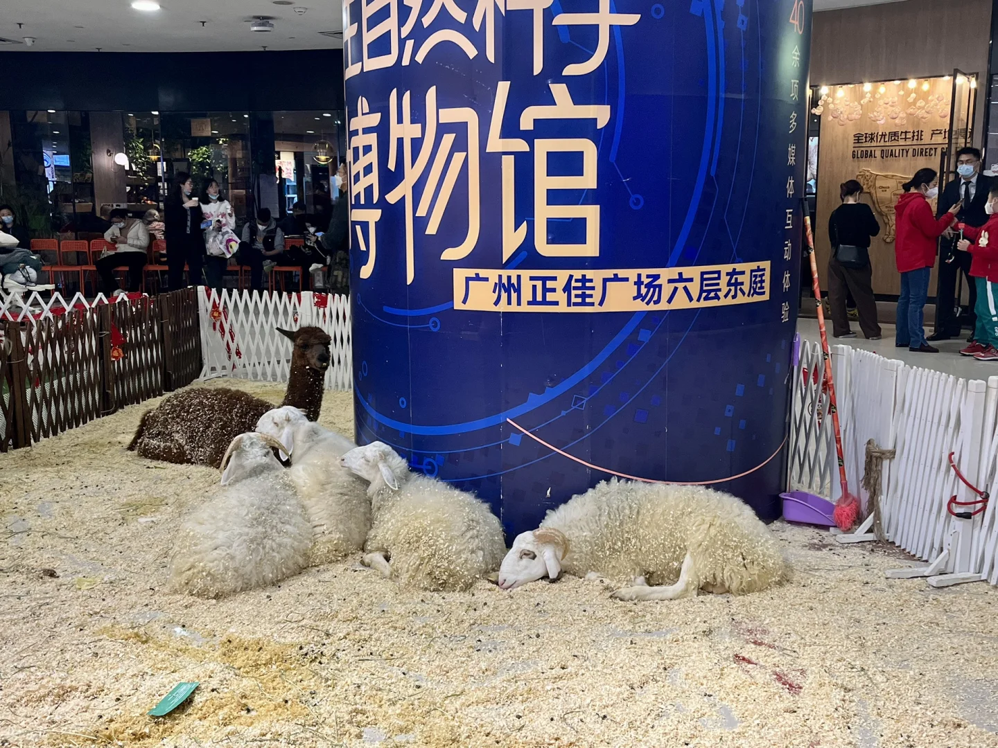 ̳﹩ιʳȺÿ