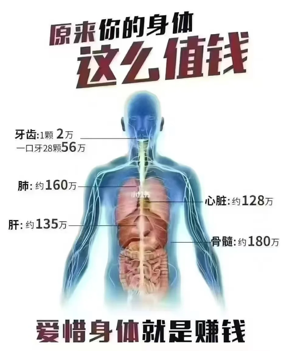 ϧÿһ罡