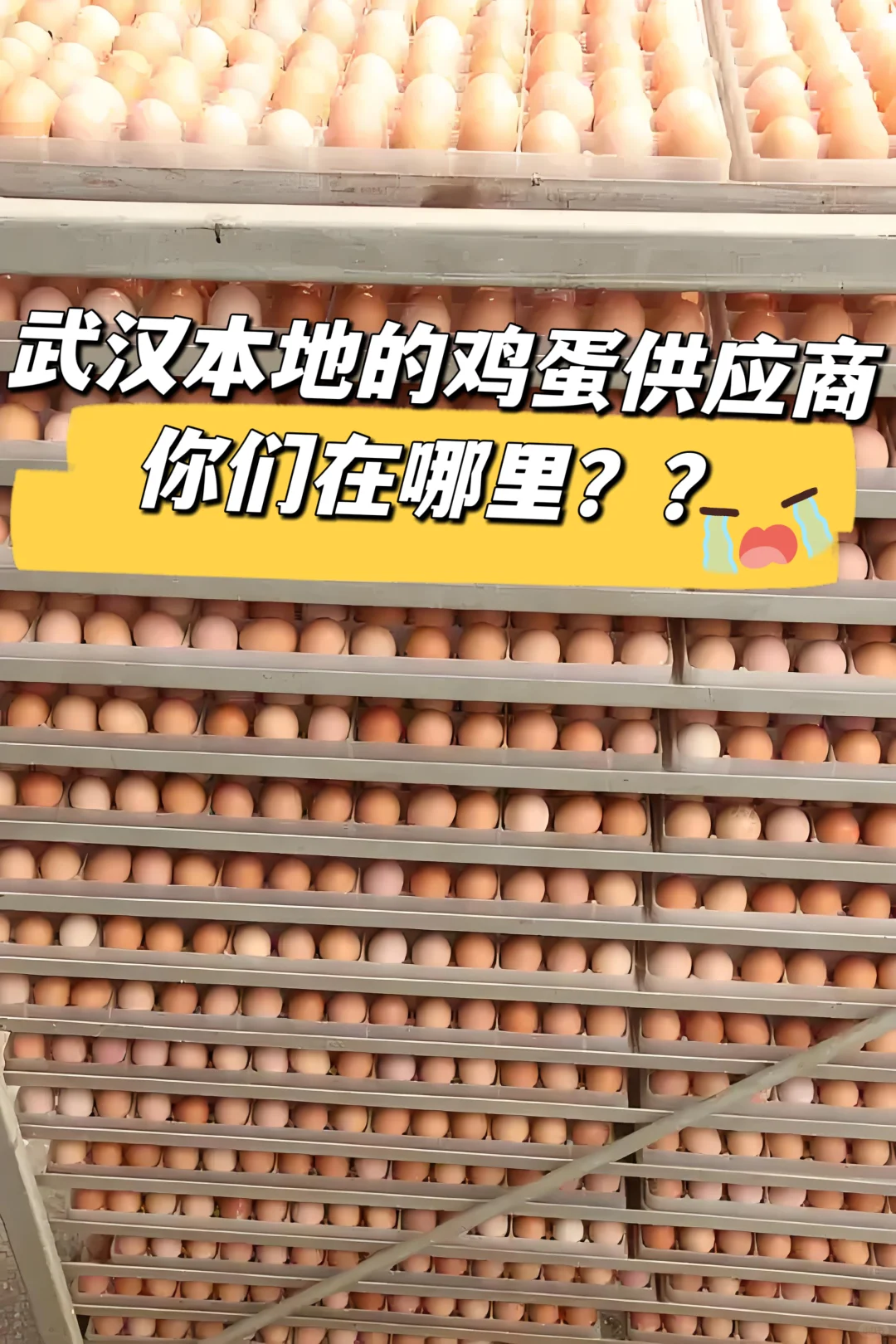 Ѱ人ؼӦ