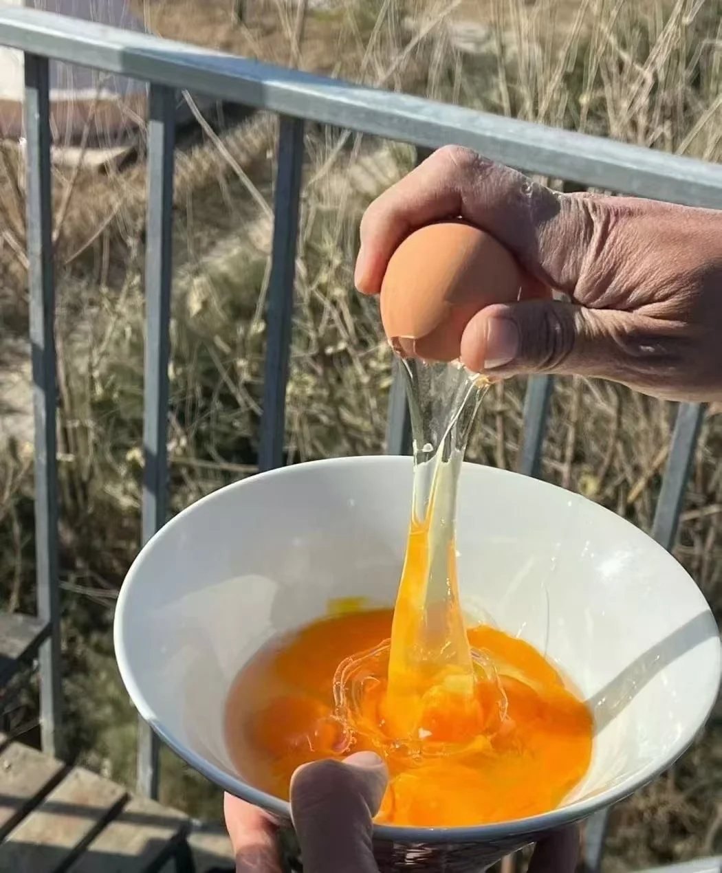 ũɢһԪһöŶ