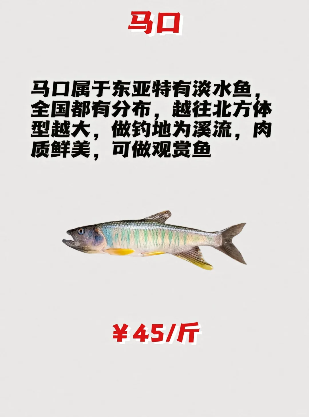 路亚鱼种价格排名，菜市场买得讲价！
