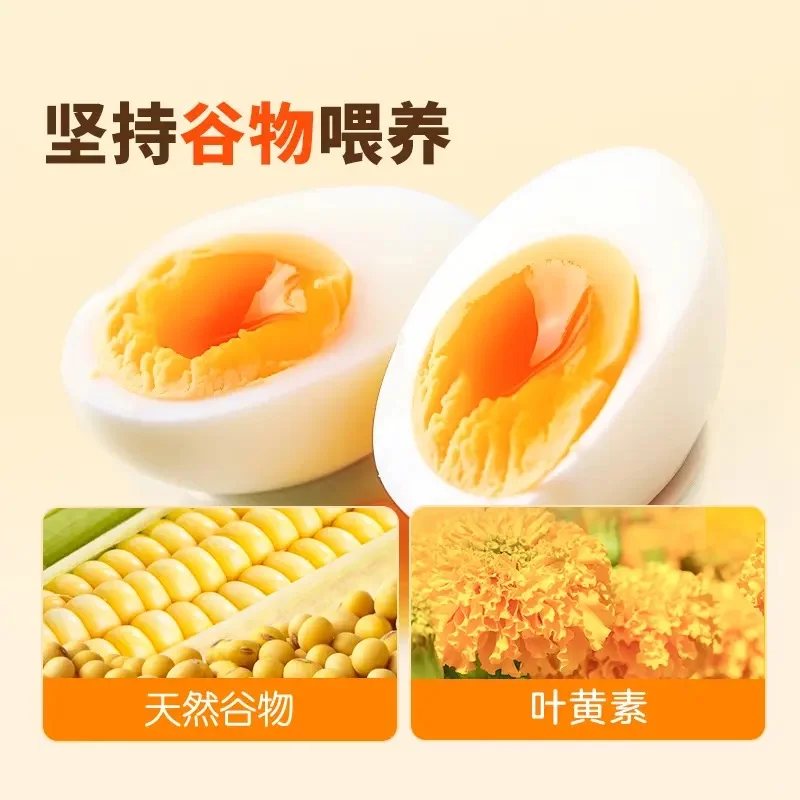 ѡʳ