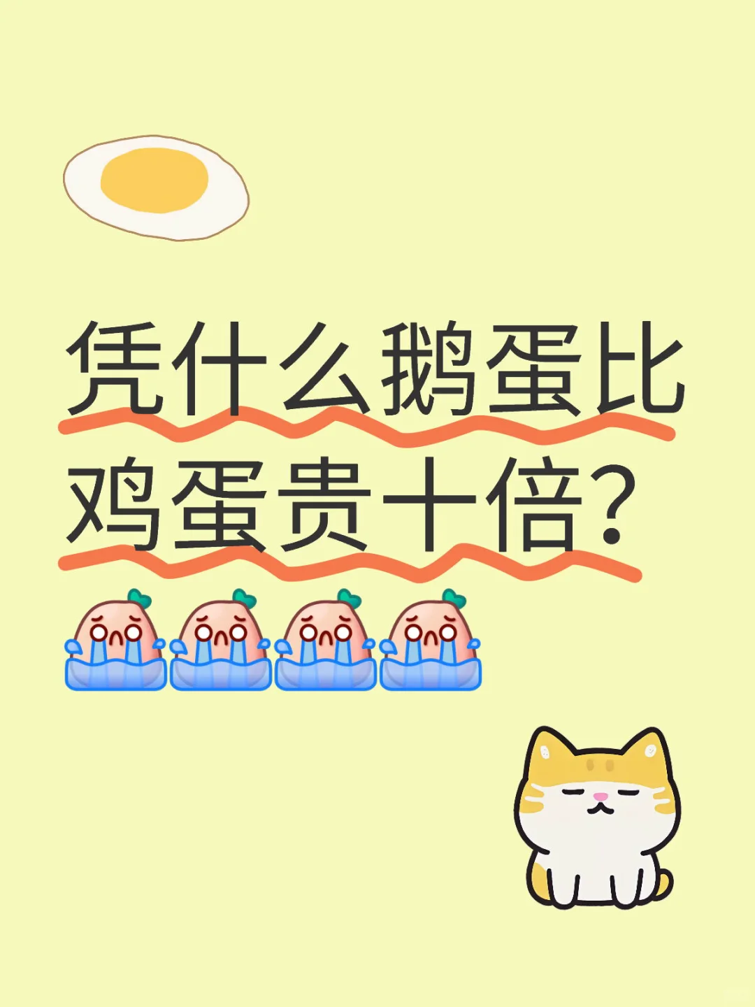 쵰ù󰡣