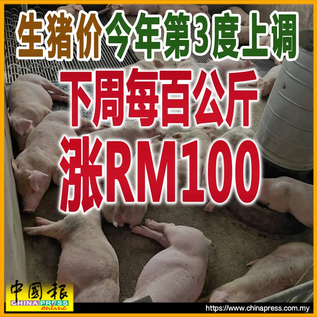 ??ٴǼ?