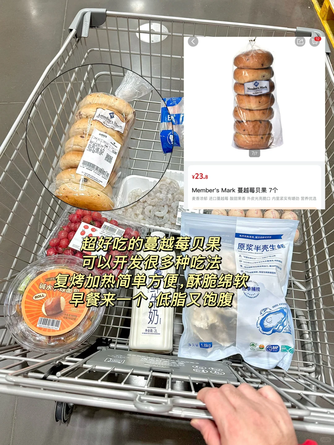 ֬ɽķ˼????