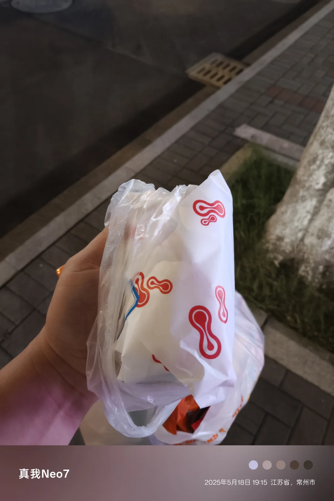 鼦̹԰꣩