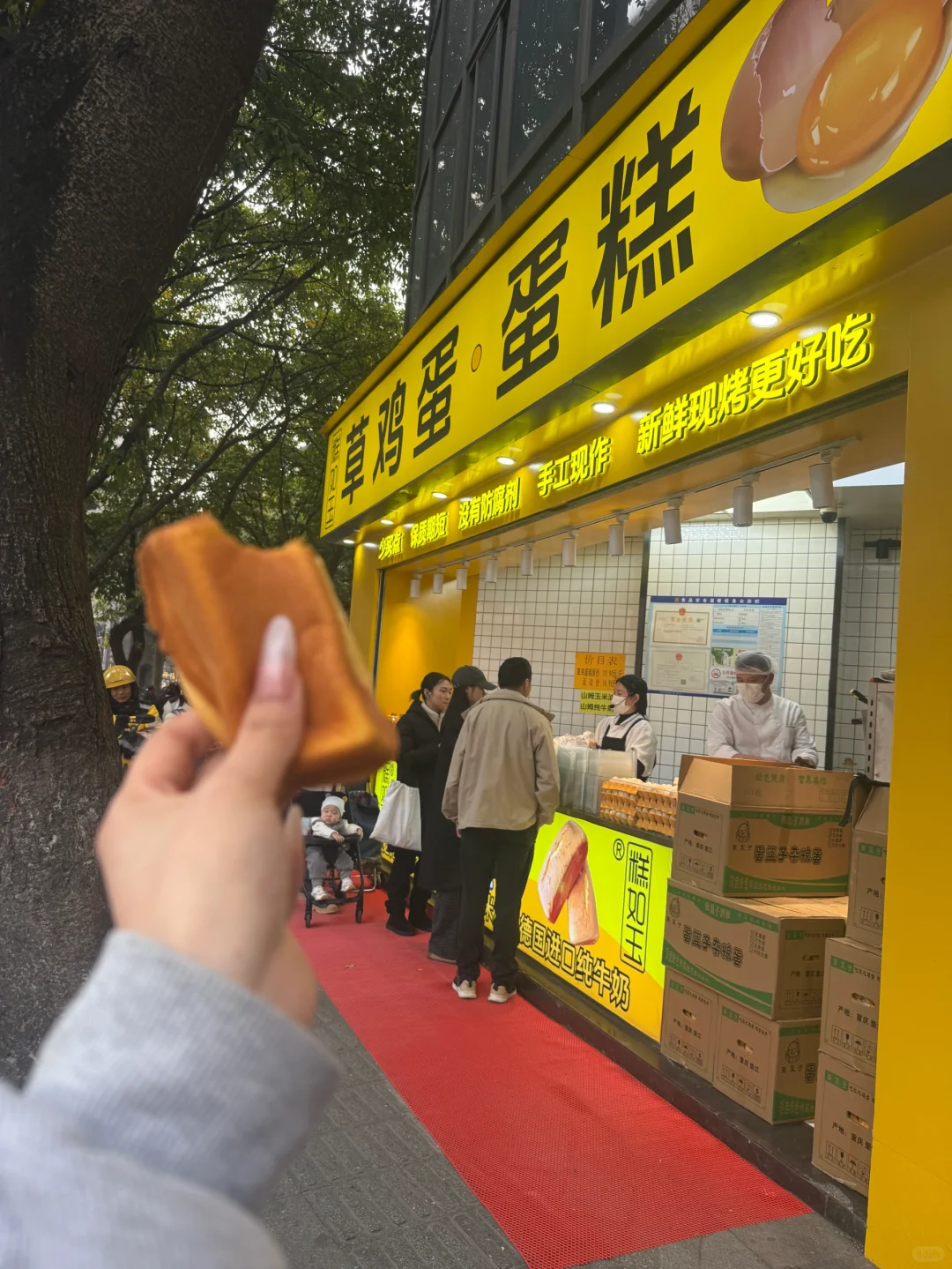 5Wļ꣬10ر