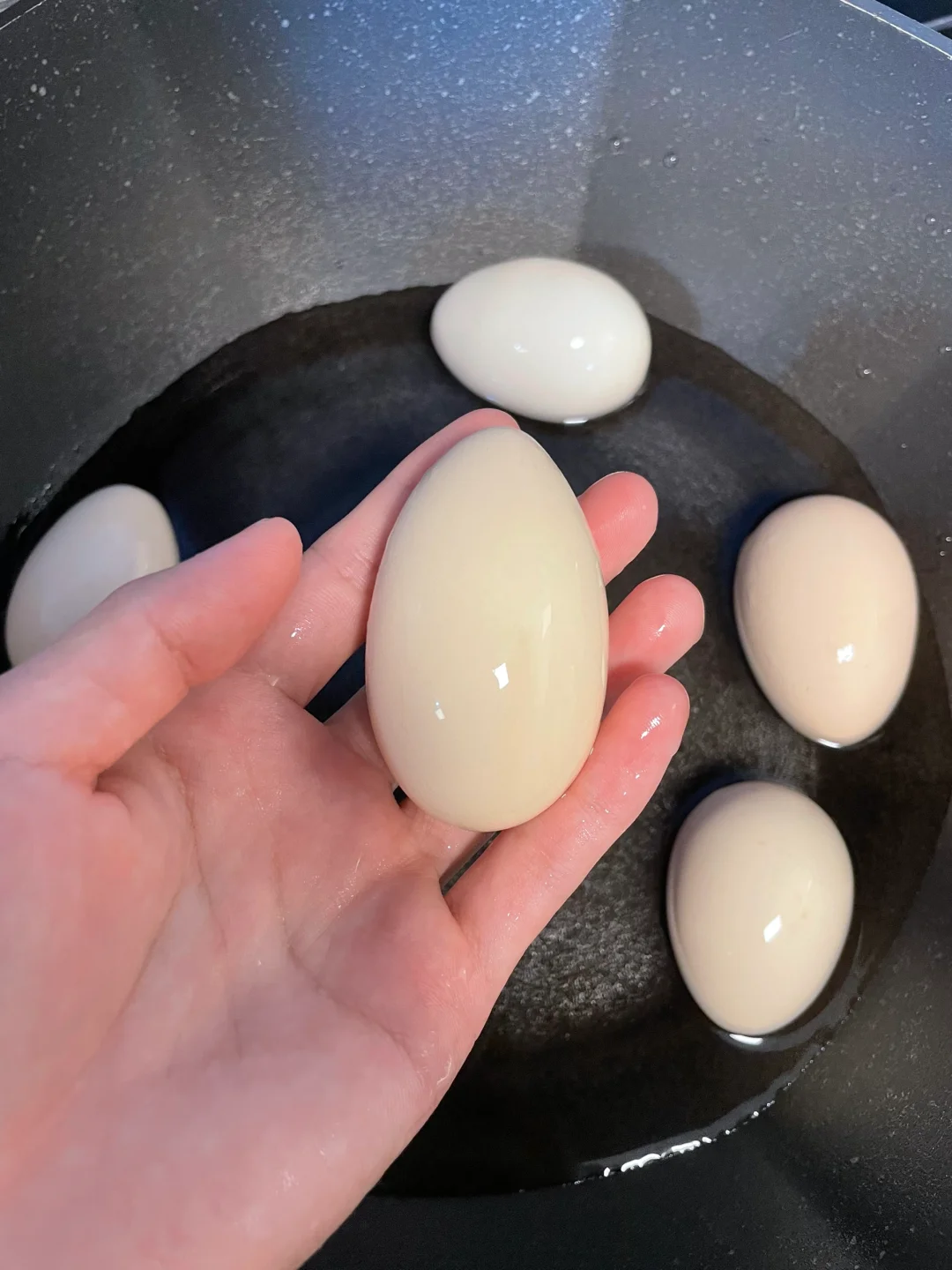 ˭ô