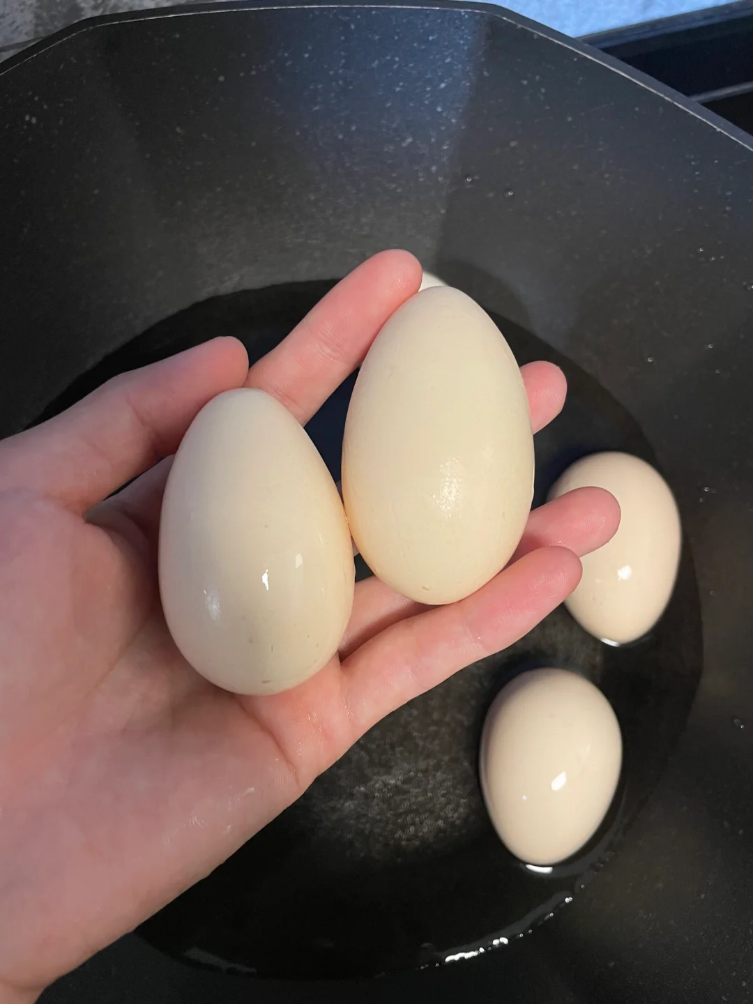 ˭ô