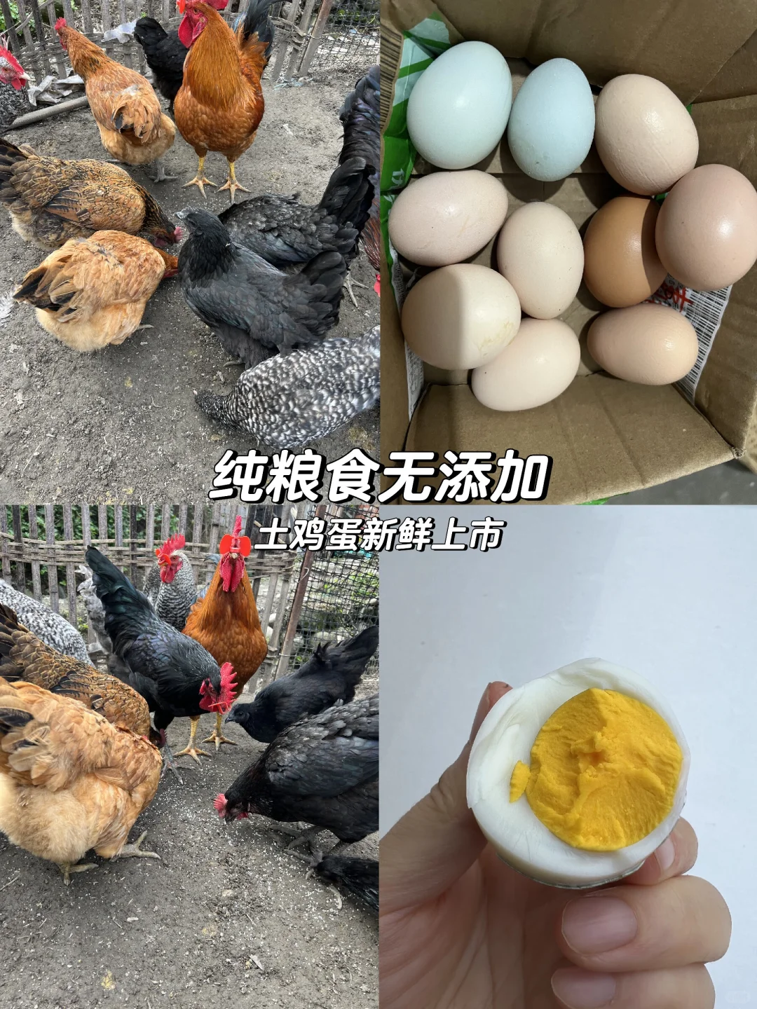 ?ʳʱgou ?