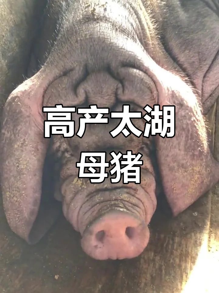 ۸