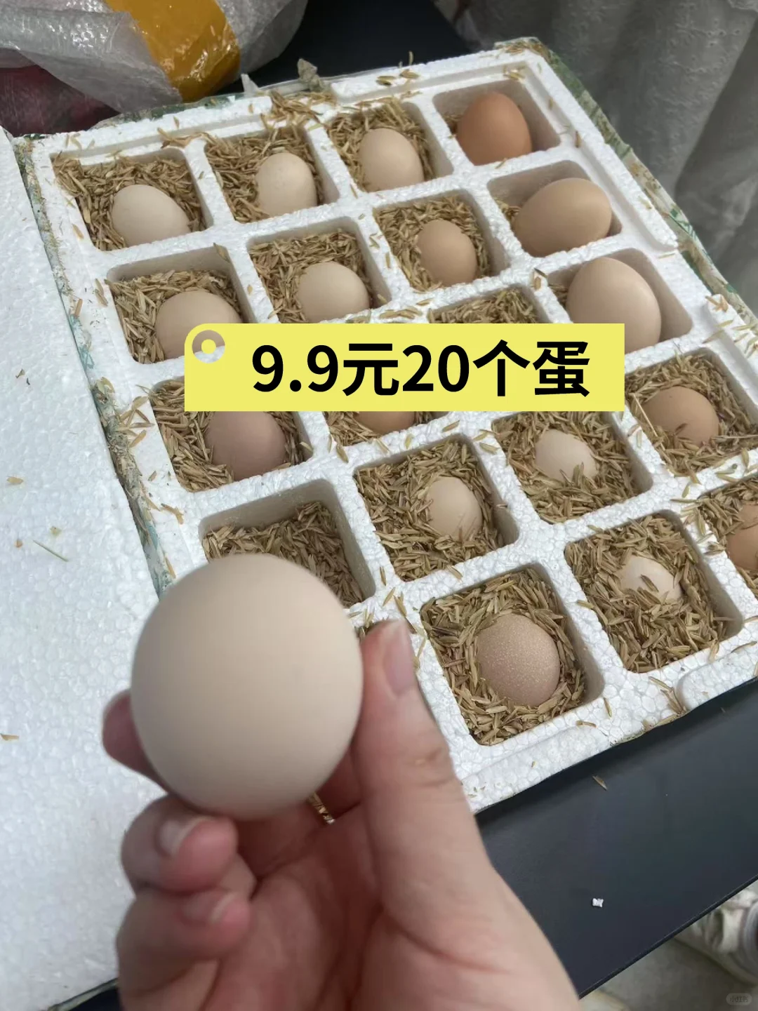 ޶ë5ëٺ