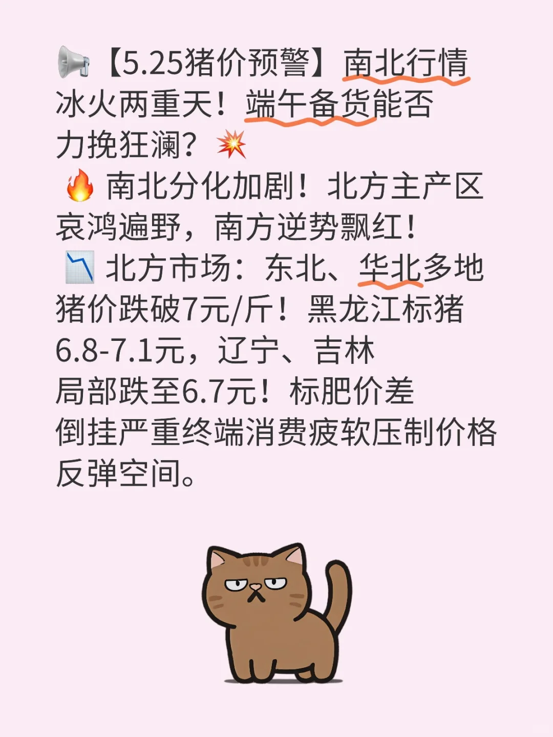 5.25猪价预预警北方哀鸿遍野南方逆势飘红