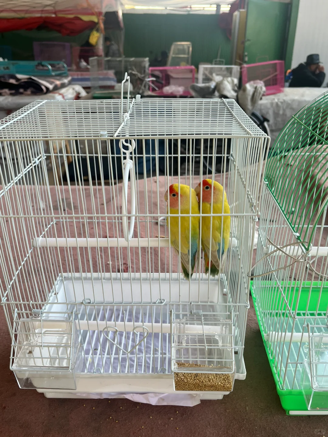 ˶أ