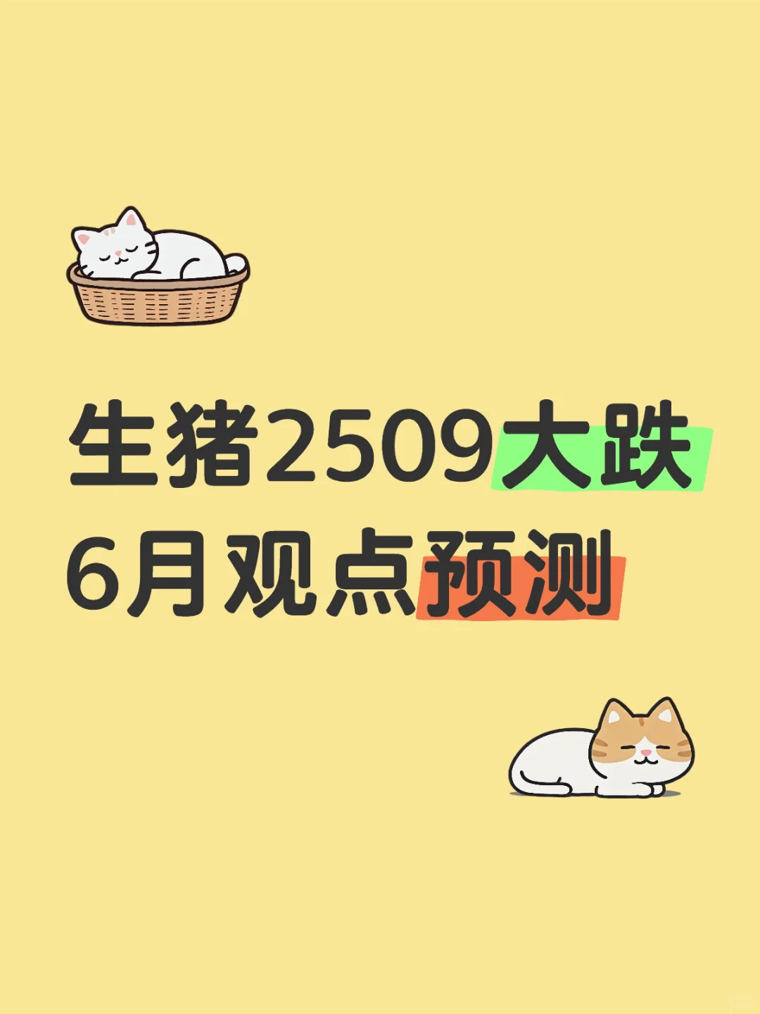 2509¹۵Ԥ
