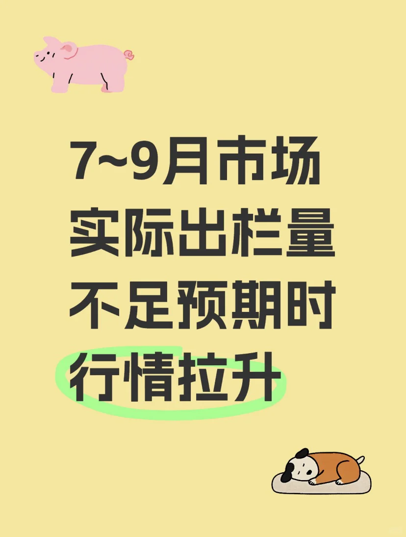2509¹۵Ԥ