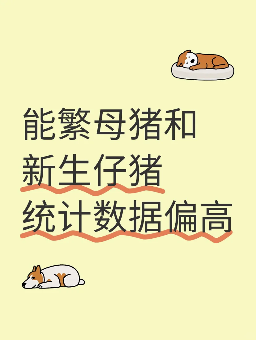 2509¹۵Ԥ