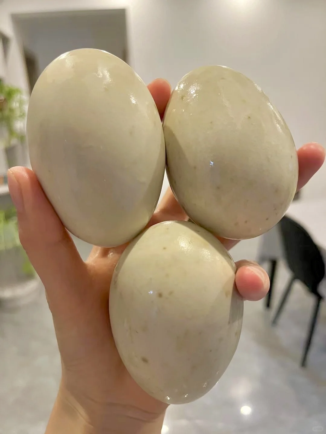 ˵ڳﶼԲļ