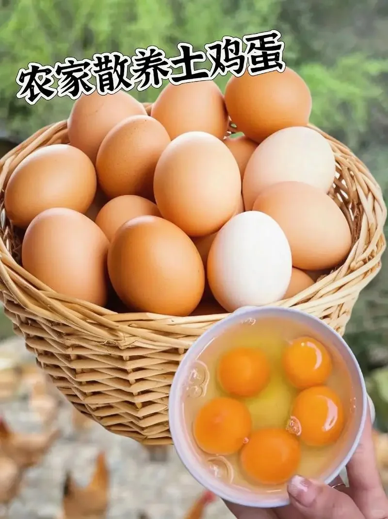֪󼦵൱ɫ