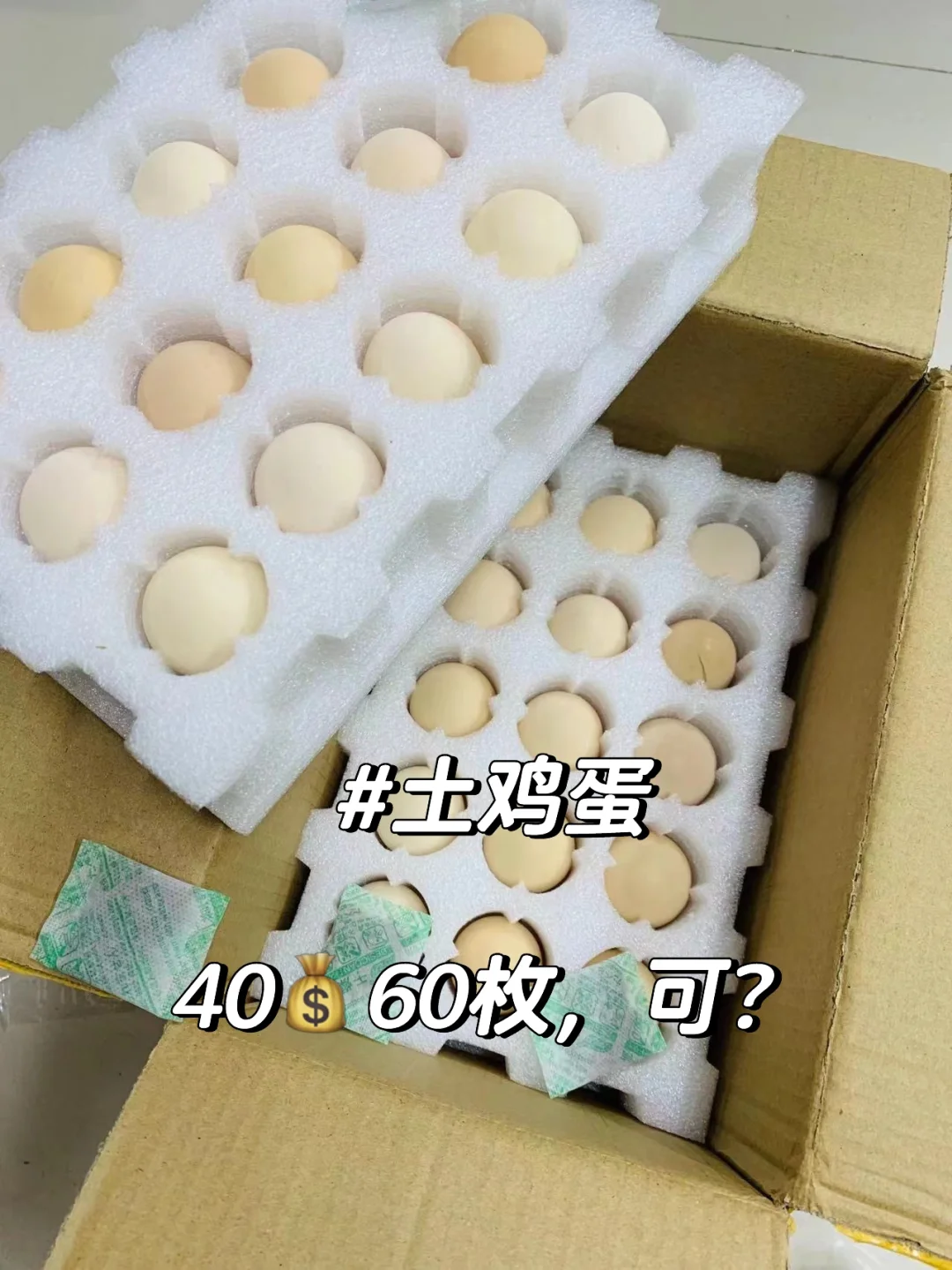 40?60öһڣóԶѽ