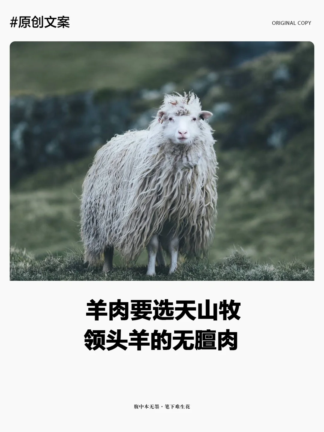 ⣬Ӵͷ