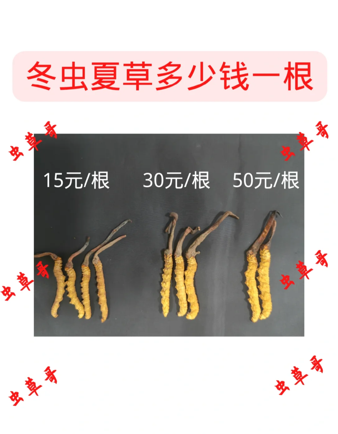 ݼ۸: ĲݶǮһ