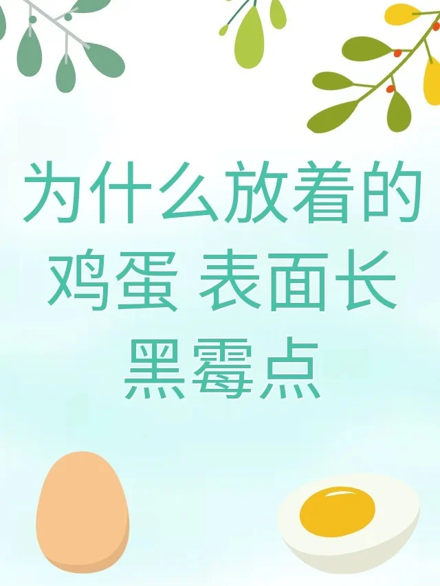 Ϊʲôŵļ 泤ù