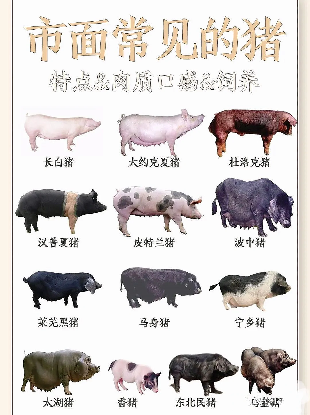 Ķ