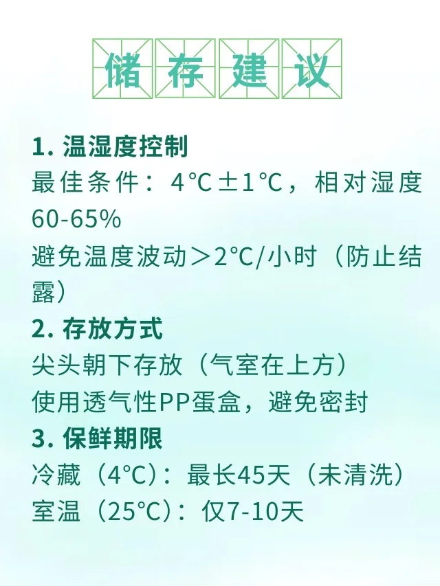 Ϊʲôŵļ 泤ù