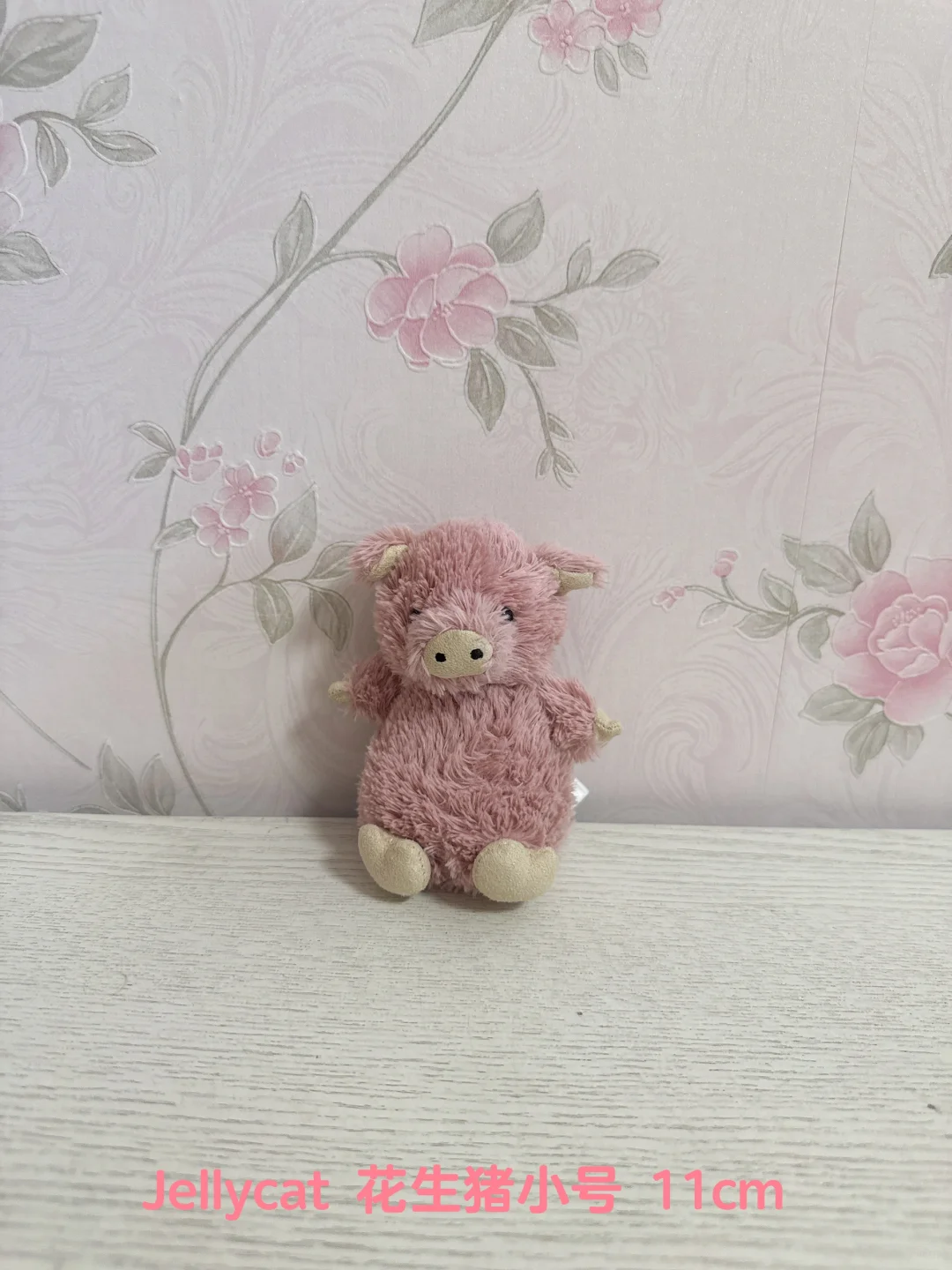Jellycat ȫҸ