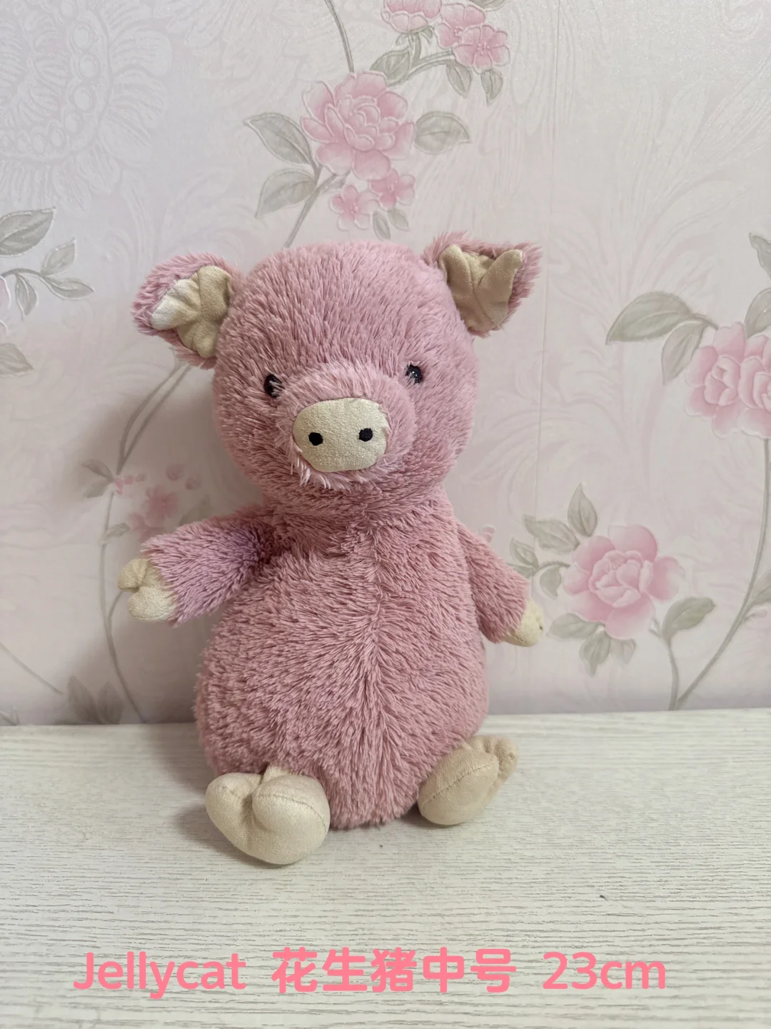 Jellycat ȫҸ