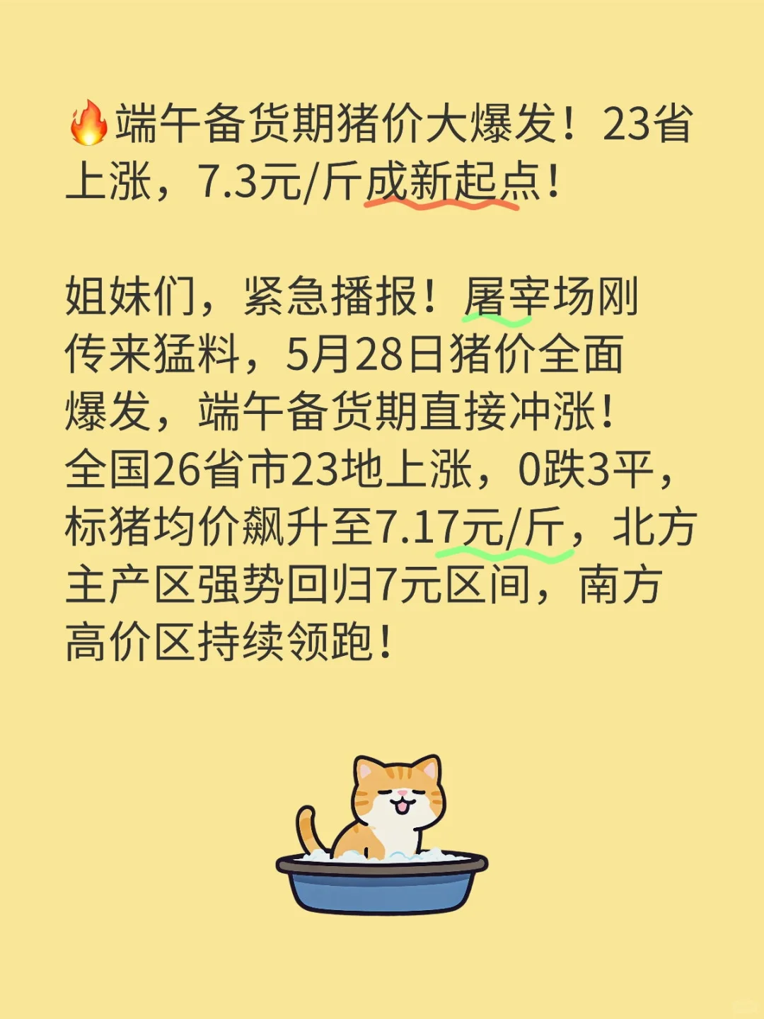 端午备货期猪价大爆发！23省上涨，7.3元/斤