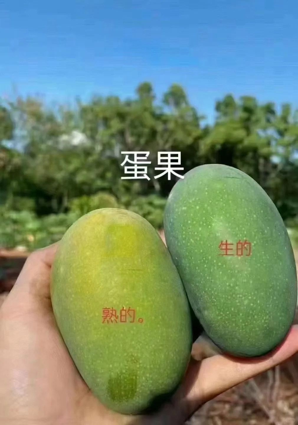 㶫âũֱŻݶ