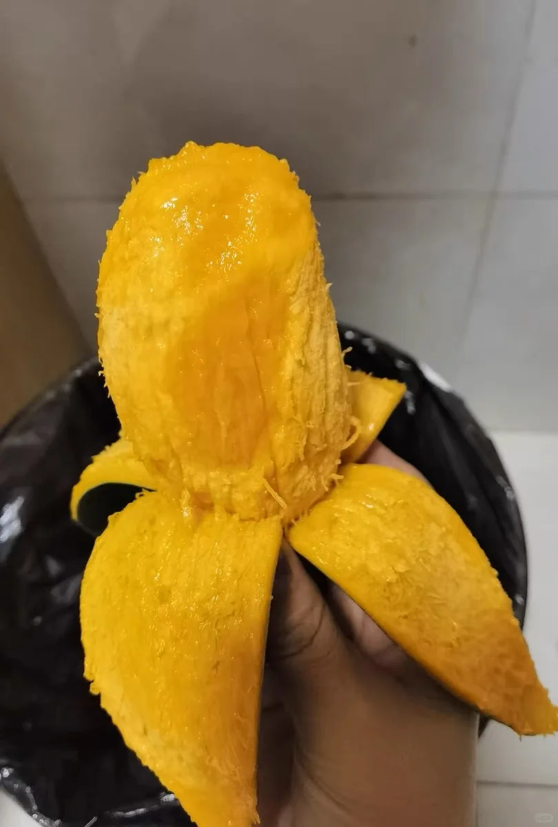 㶫âũֱŻݶ
