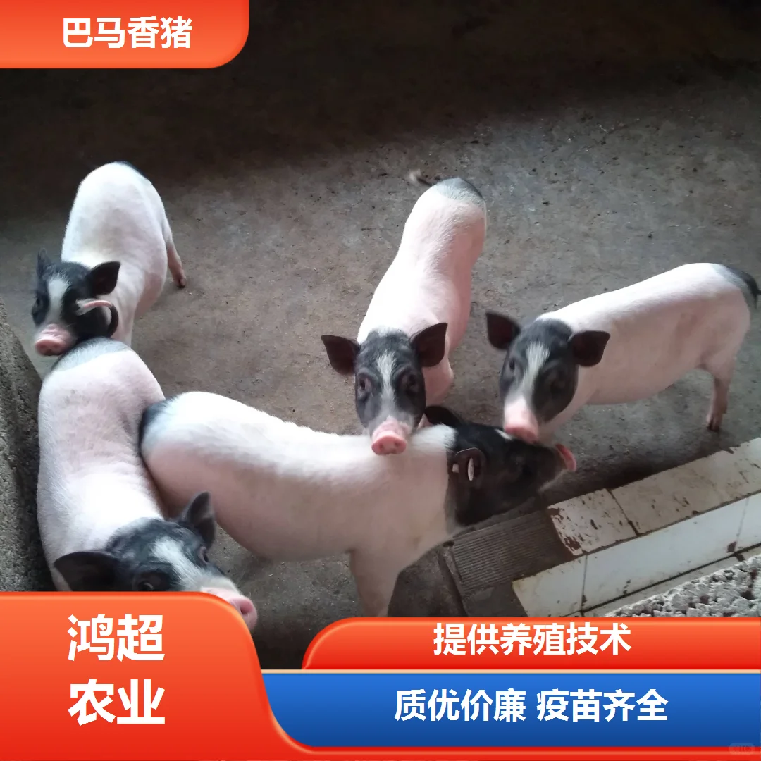 СǮһֻ