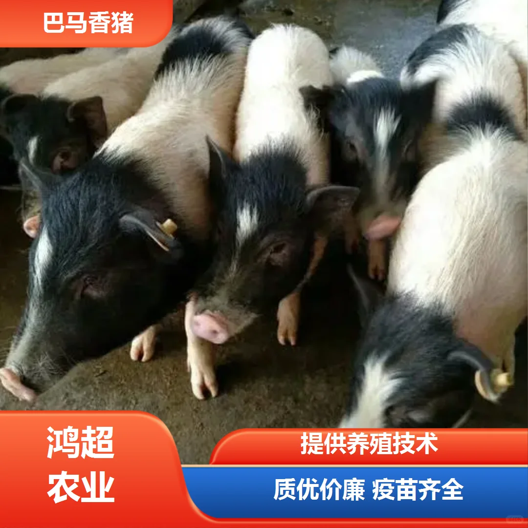 СǮһֻ