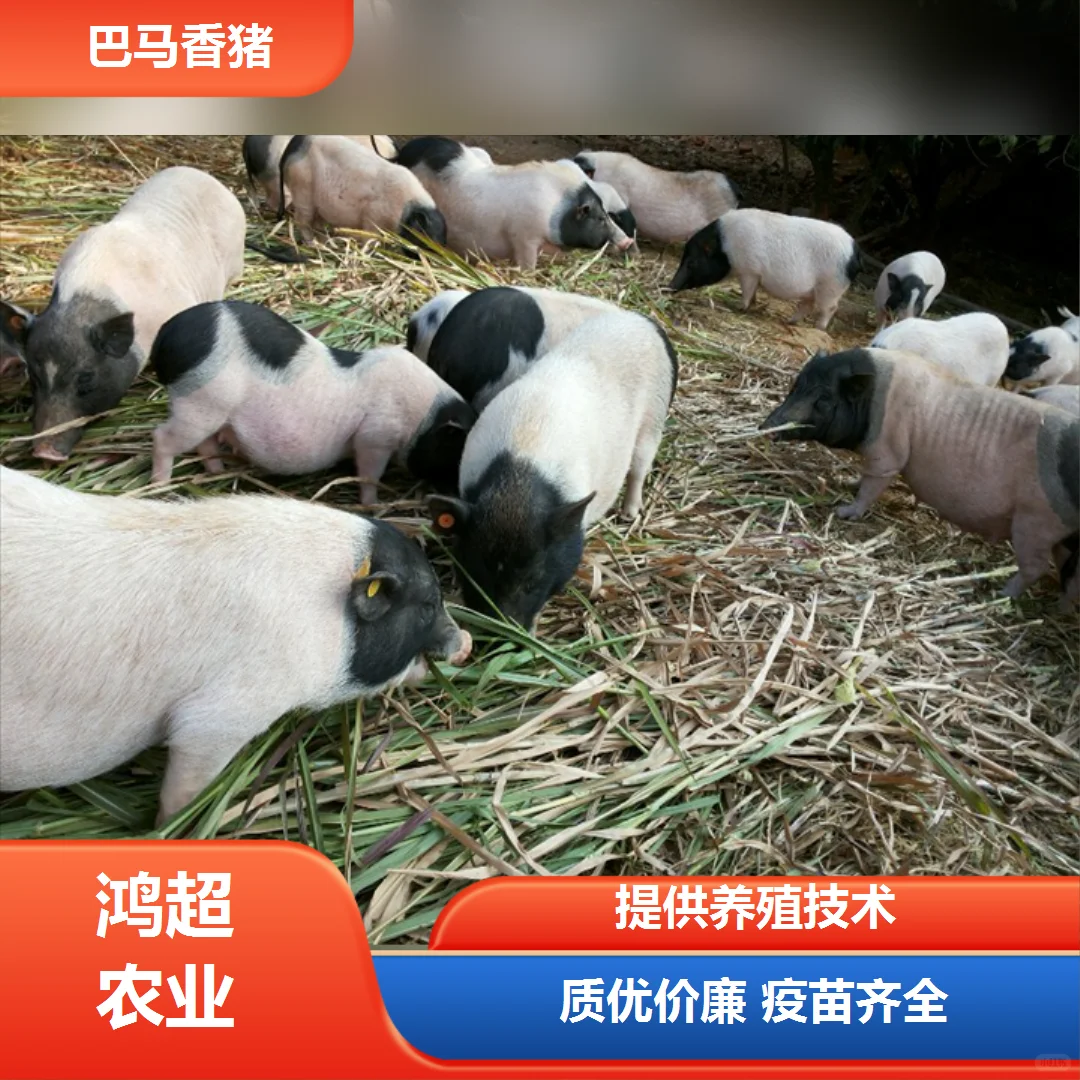 СǮһֻ
