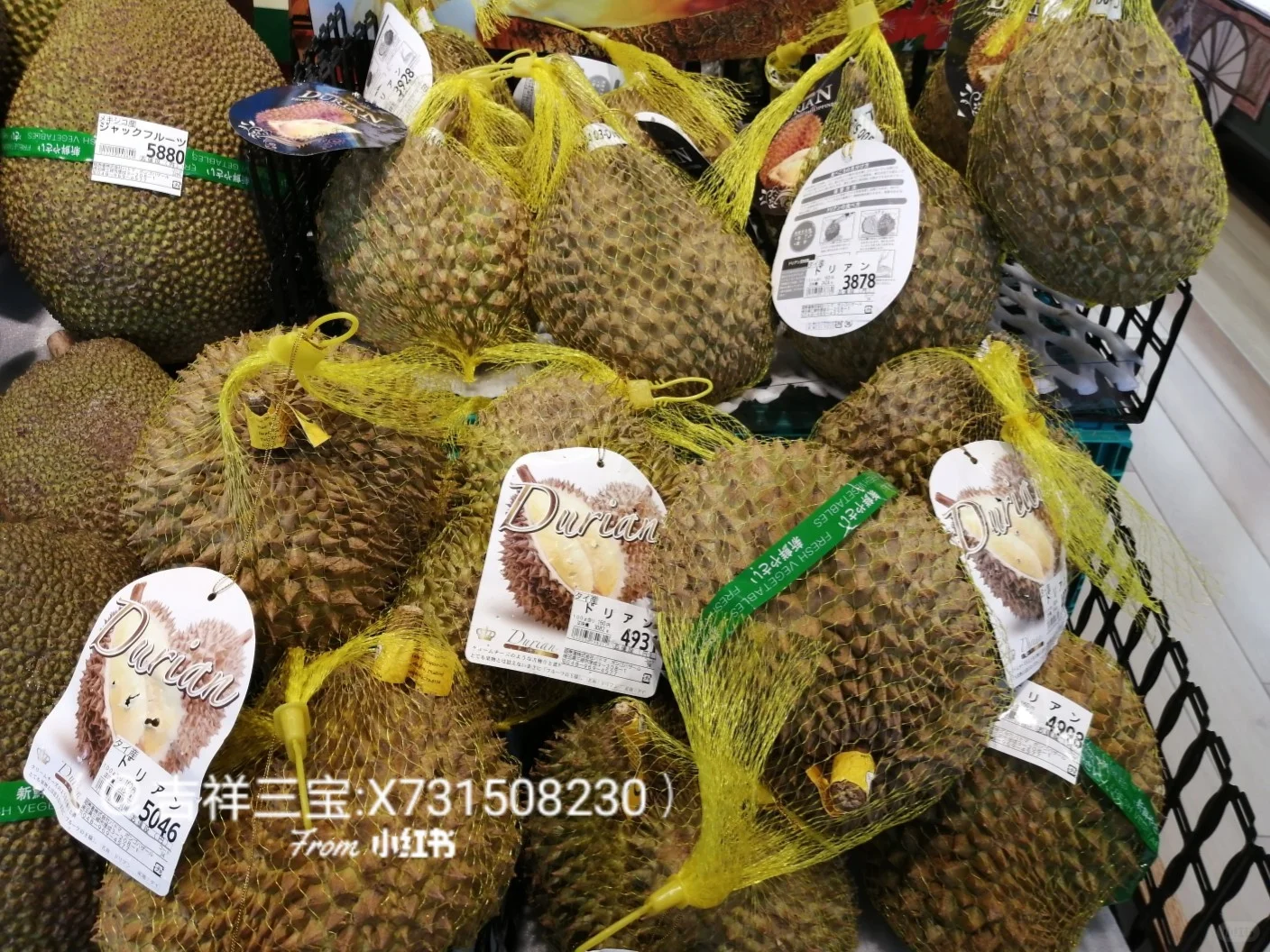 ţ˵ûѣ긽ֿ˼