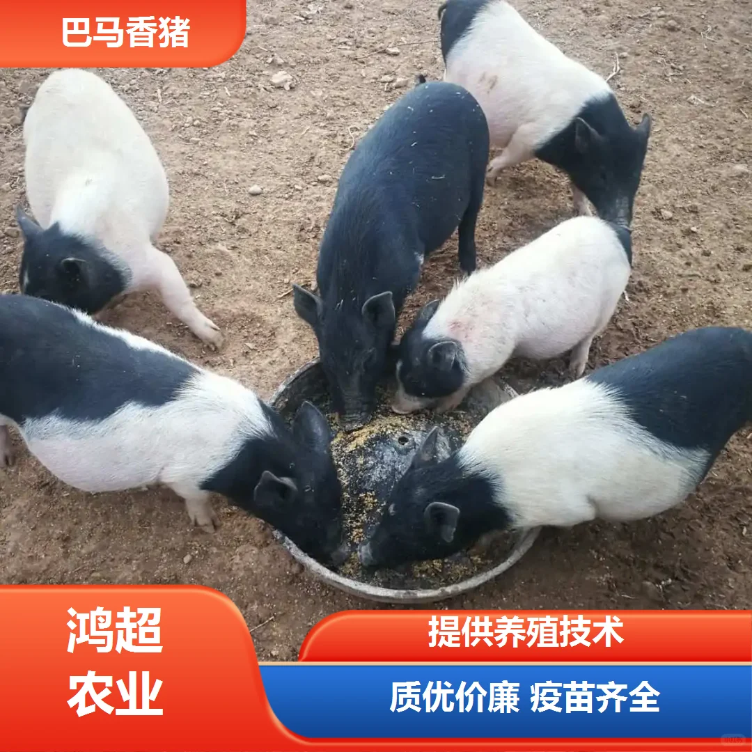 ൺаǮһ