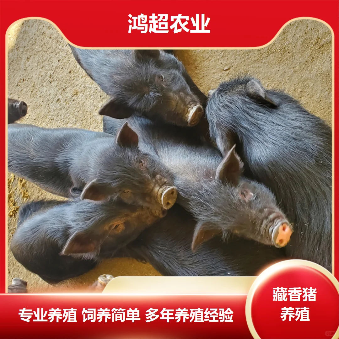 ʡǮһ