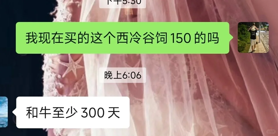 ţҶ۵ʱԴ