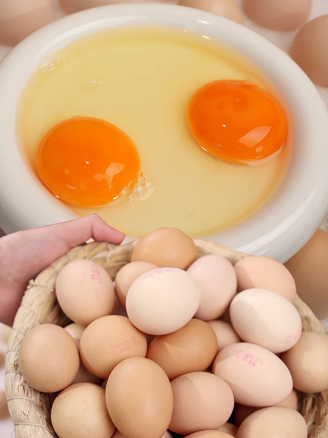 ̥ǿƼĿʳ۸
