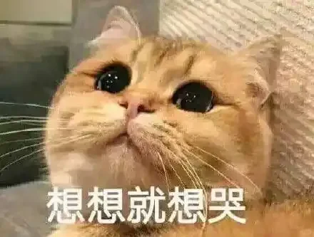 做生意好难(不卖货纯吐槽)