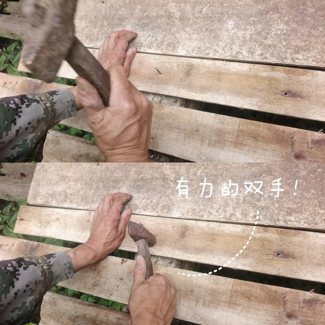 鷳¶