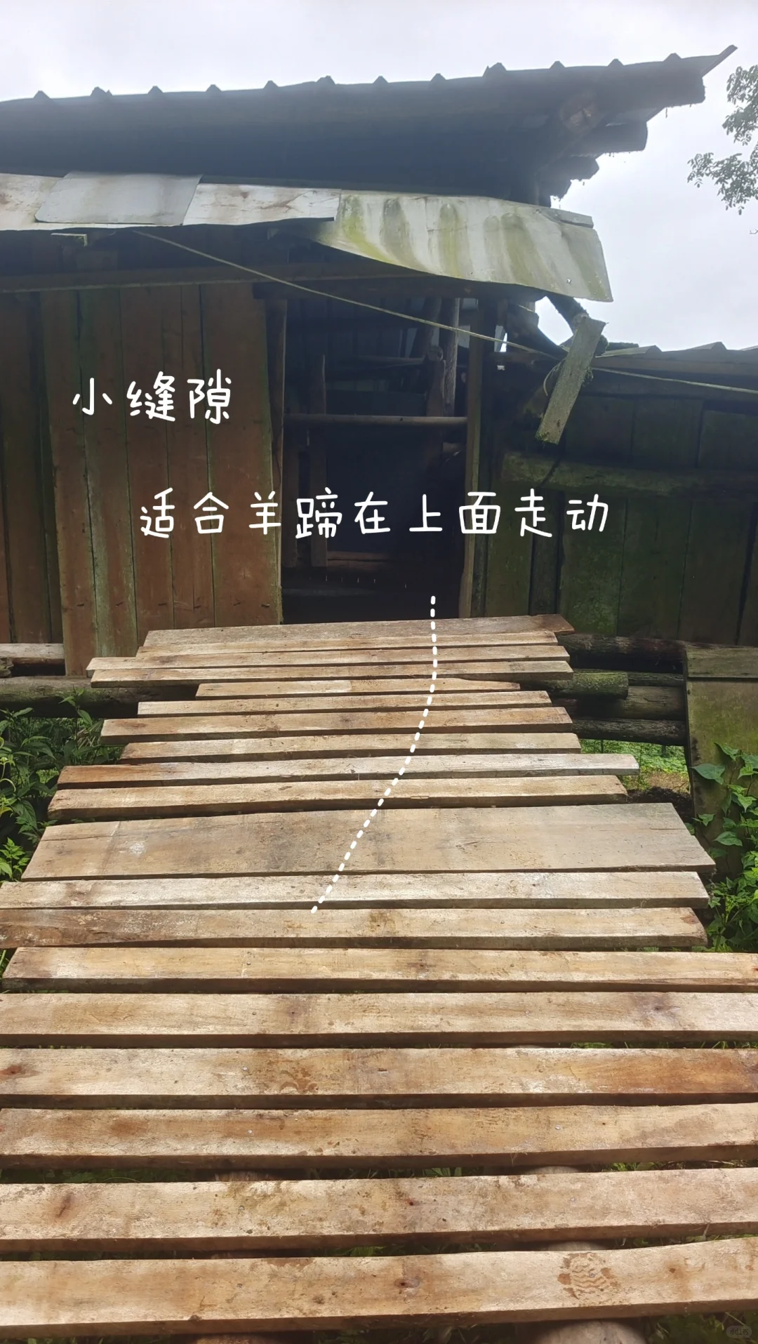 鷳¶