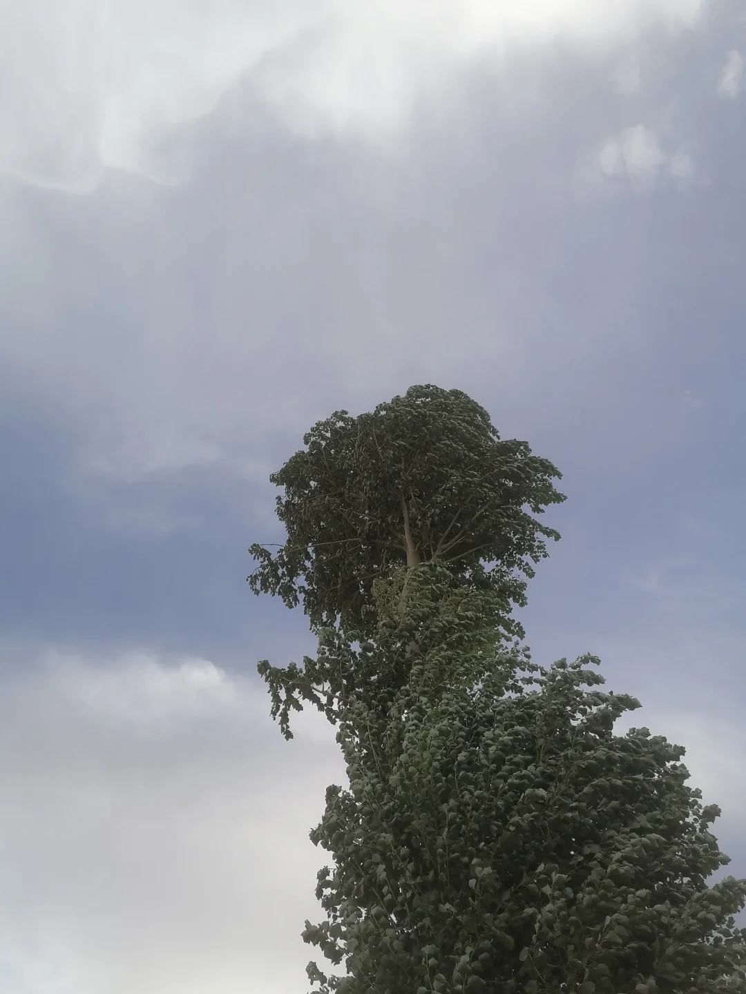 ҵʮһɫ